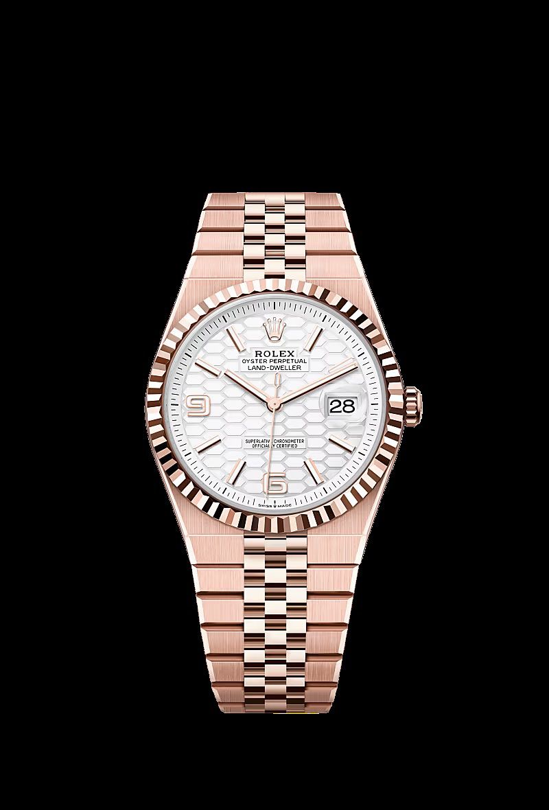 Rolex Land-Dweller For Men's | white & Ice BLue & Green
